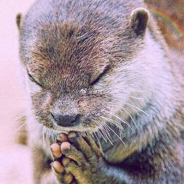 见者转赞 水逆退散 