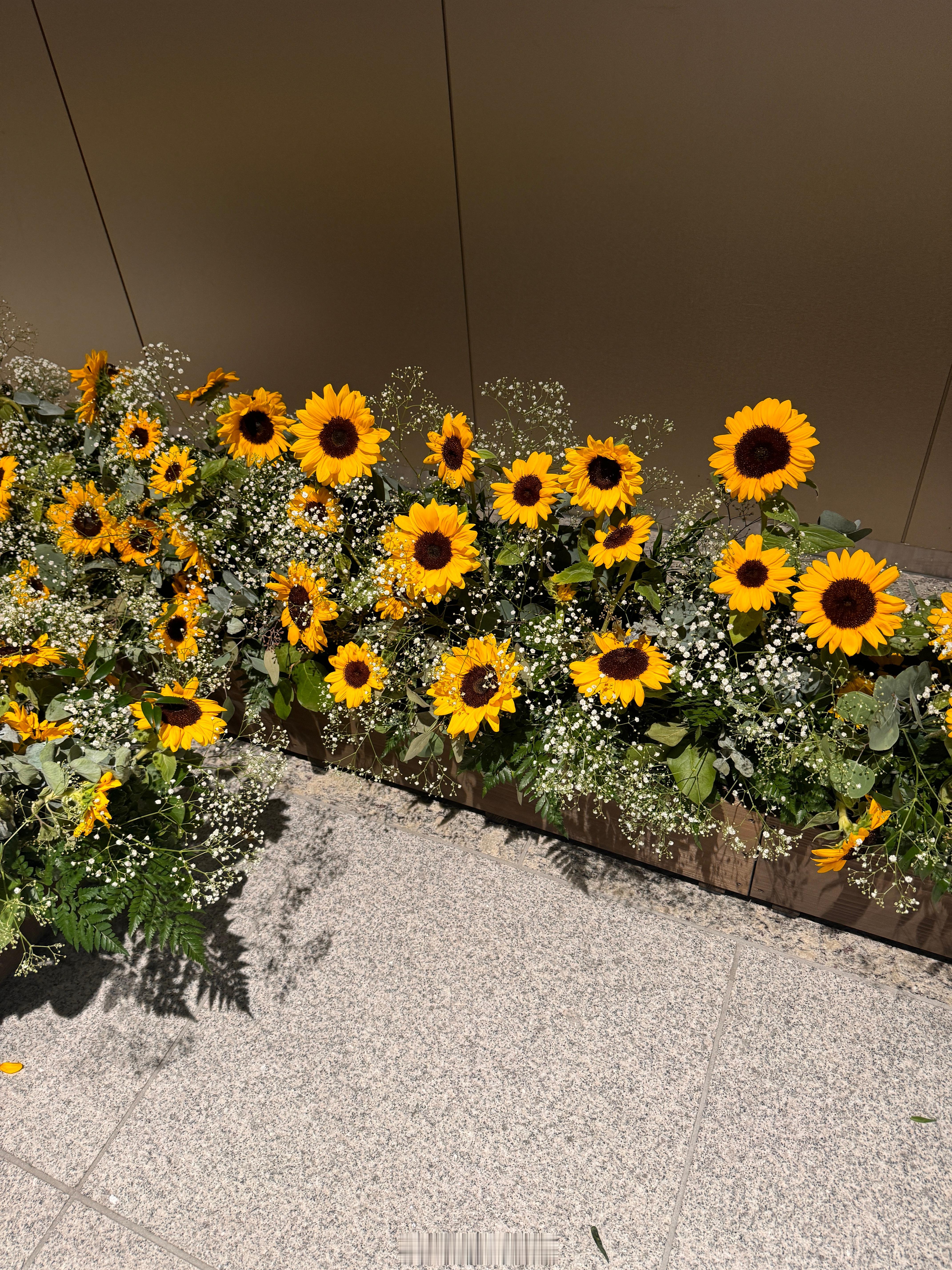←前 咦！竟然是真花🌻后→ 生花改造成功🌻路过公司大叔问我🌻欲しい？我说う