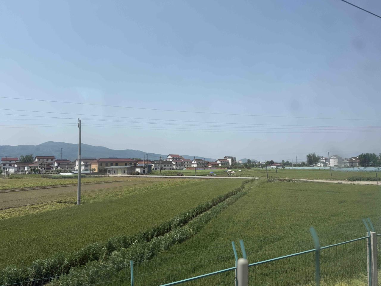 这地方很牛！绿皮火车行驶在汉中大地，果然是片聚宝盆地，阡陌纵横，大面积的油菜花已