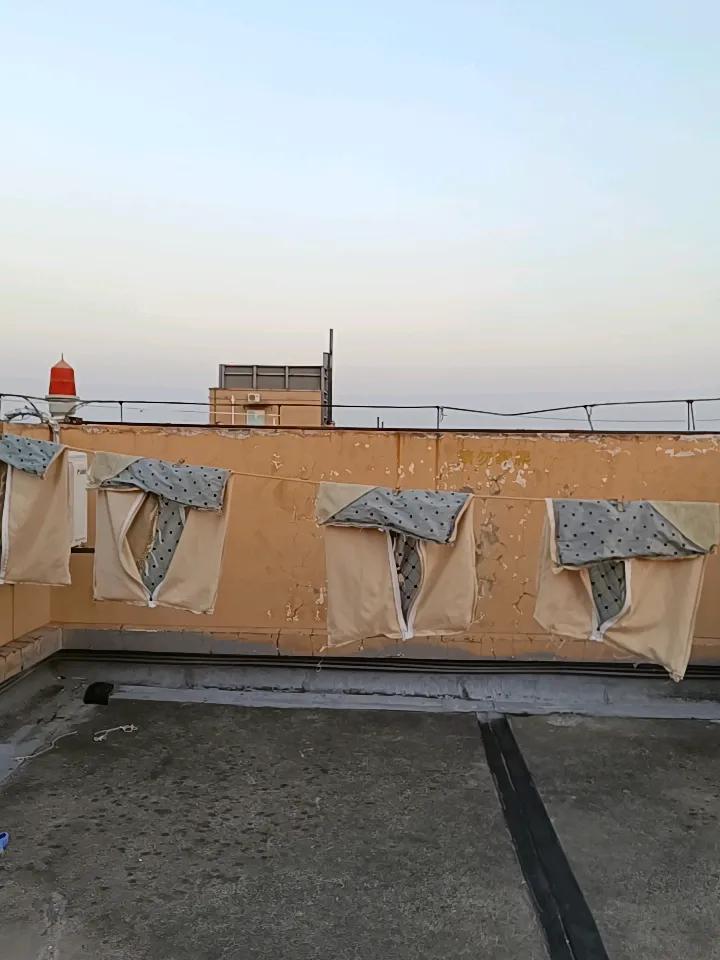 今年冬天的不同