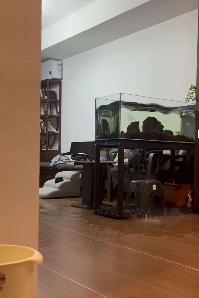 福建福州家里养鱼的，睡宿觉后发现天塌了
一位养鱼爱好者早上起床后发现，鱼缸周围全