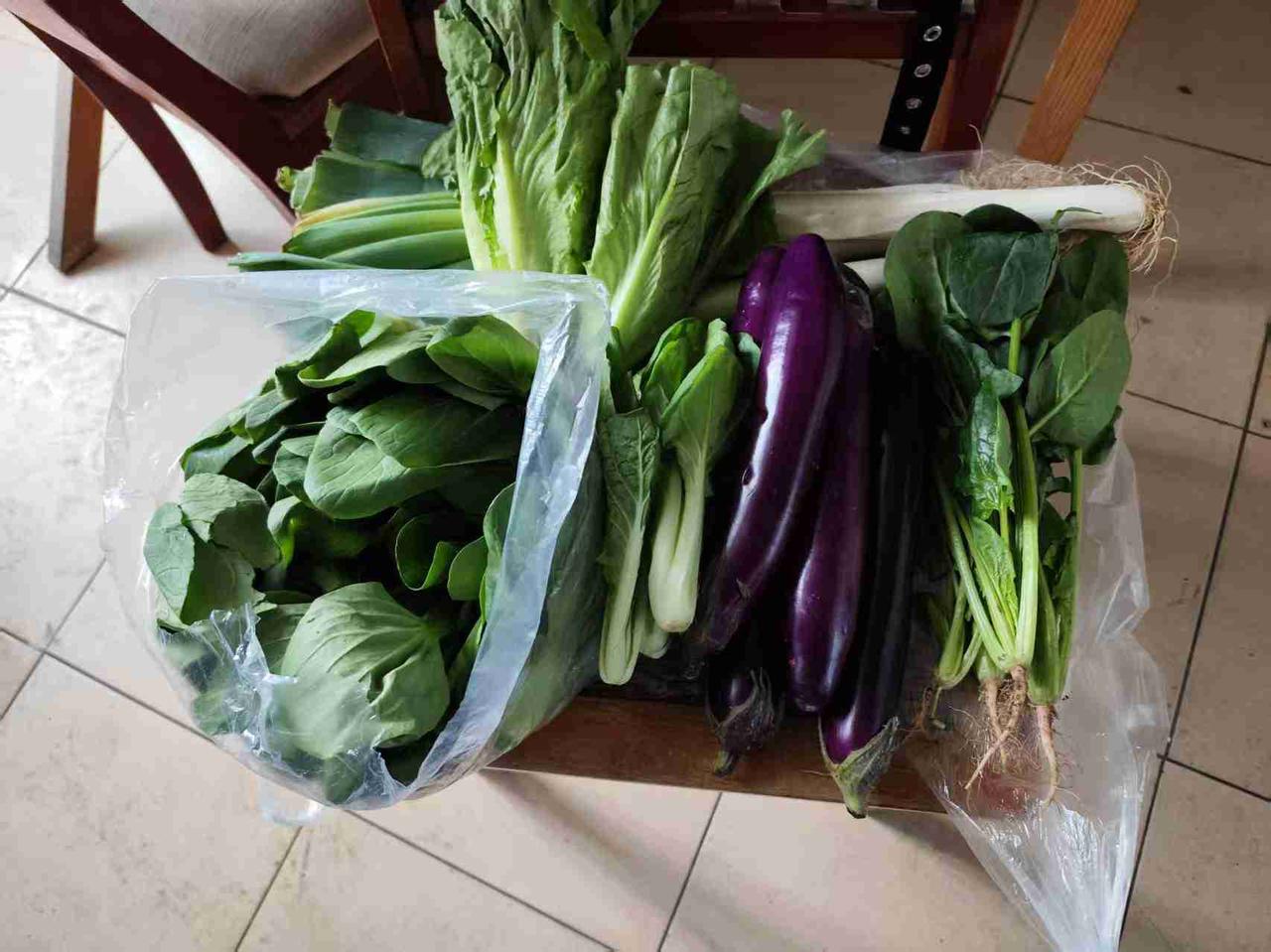 我的今日状态：😁轻松愉快
我这里的天气：☀️晴天
医生说我要补叶酸，否则易中风