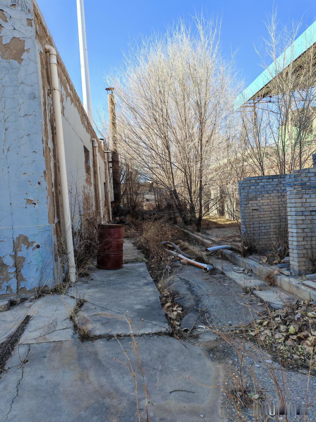 集卡领红包集卡领红包的兄弟们