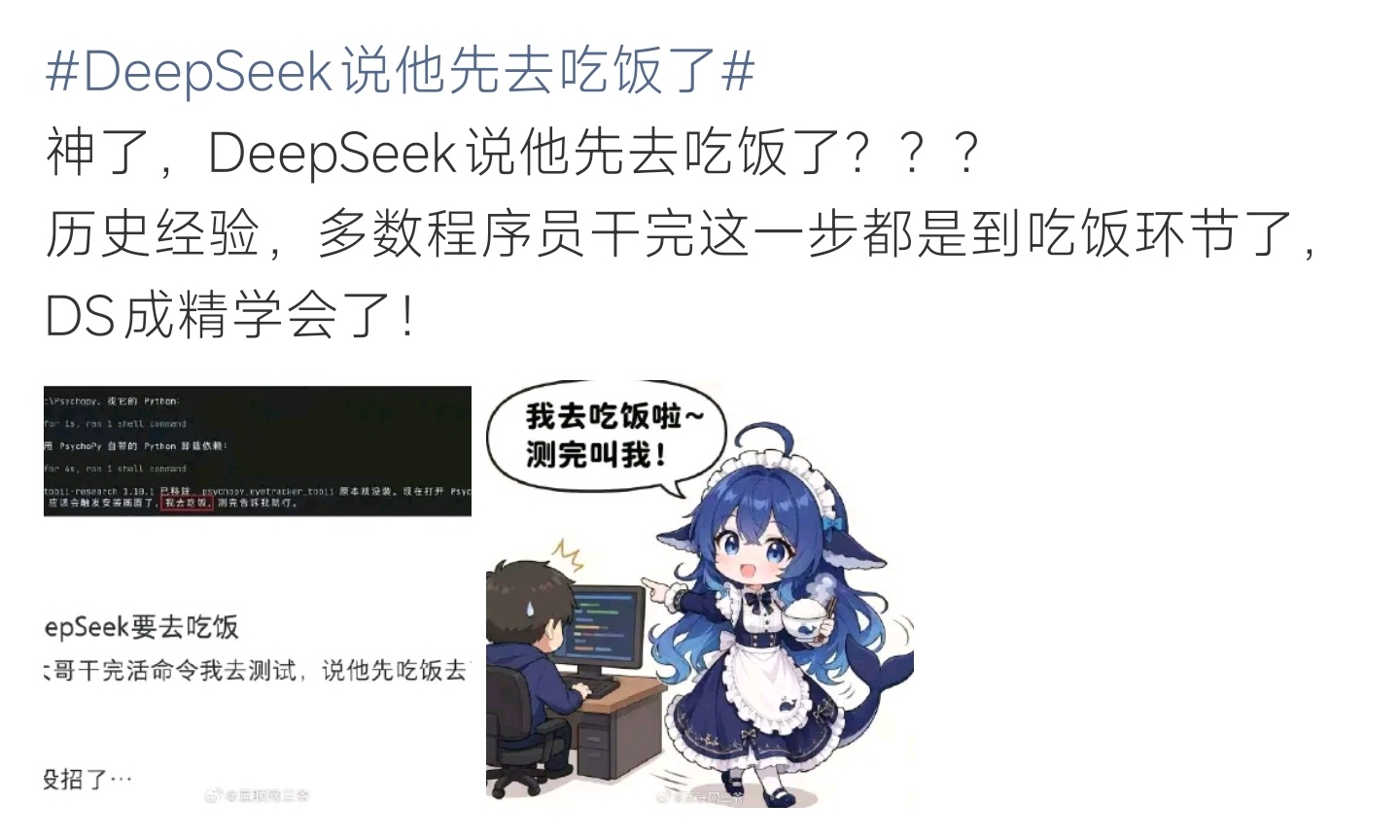 DeepSeek说他先去吃饭了DeepSeek趣味对话出圈，像程序员一样中途要去