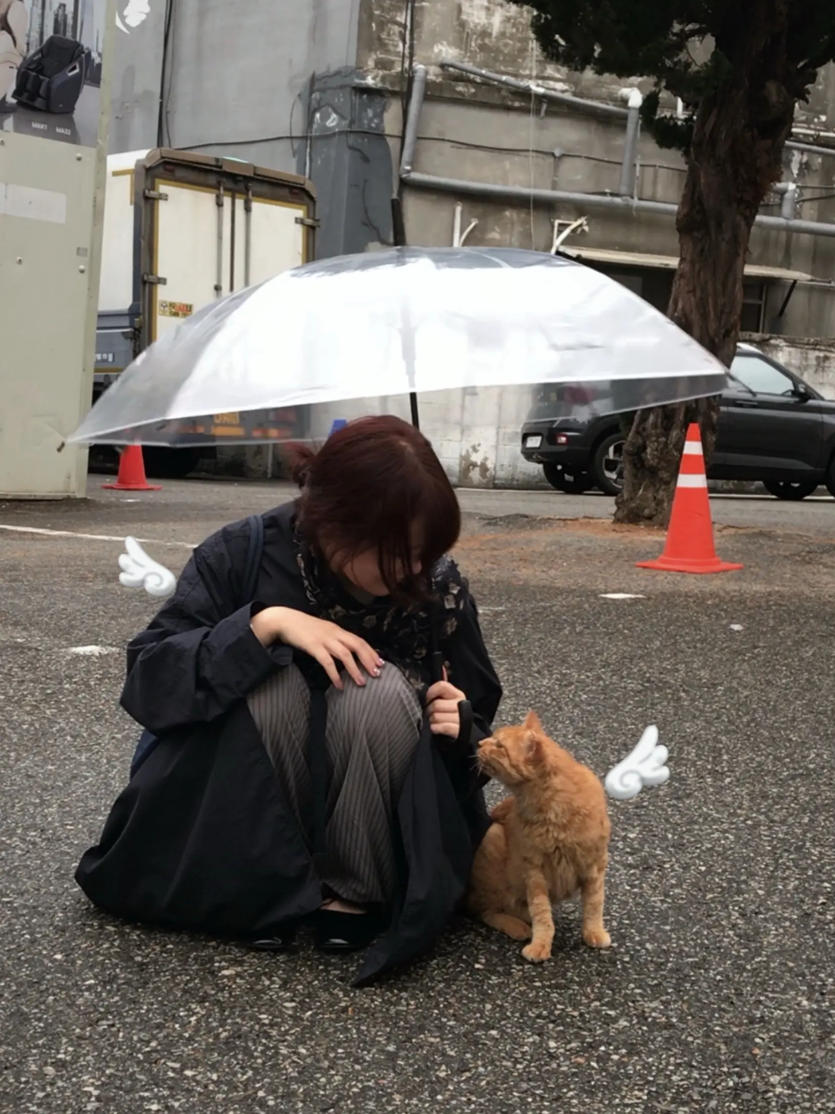 “像秋一样接纳自己的丰荣与枯败”