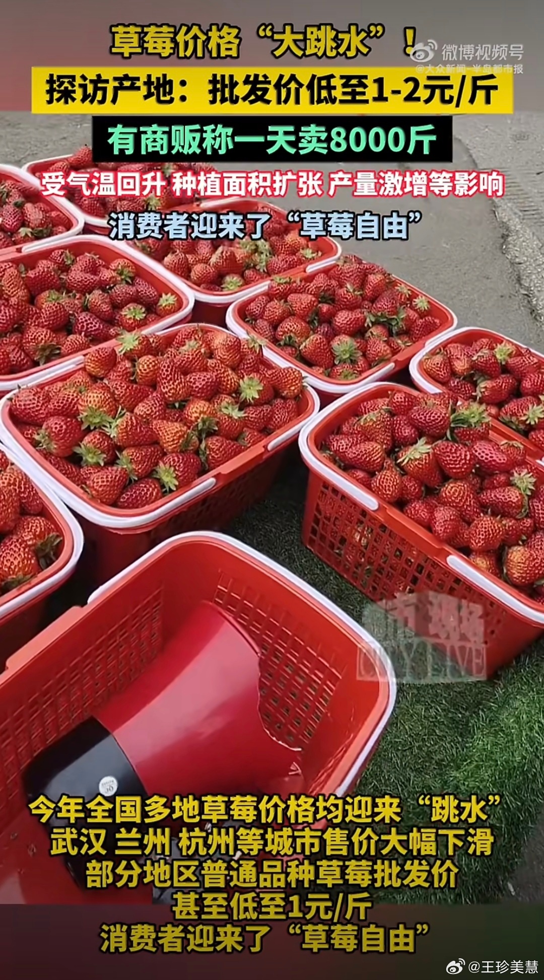 多地实现草莓自由讲真现在除了吃山姆的草莓蛋糕基本不会单买草莓吃了改明儿试试耙耙柑