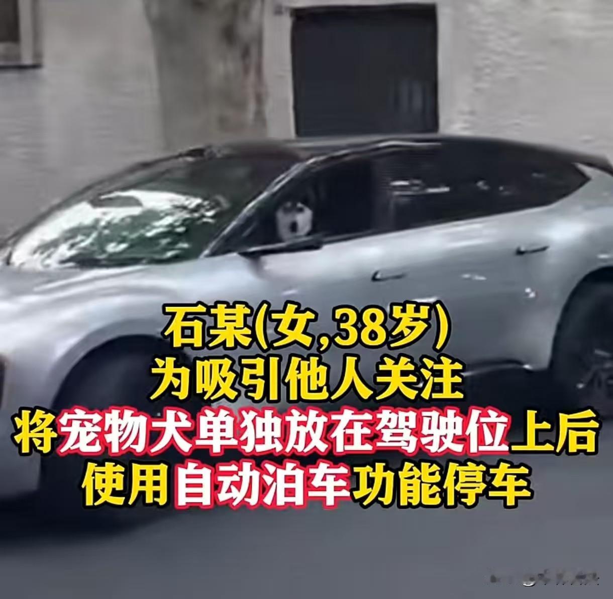 2026年7月4日，上海徐汇区石某将宠物犬单独放在主驾驶位，开启自动泊车功能停车
