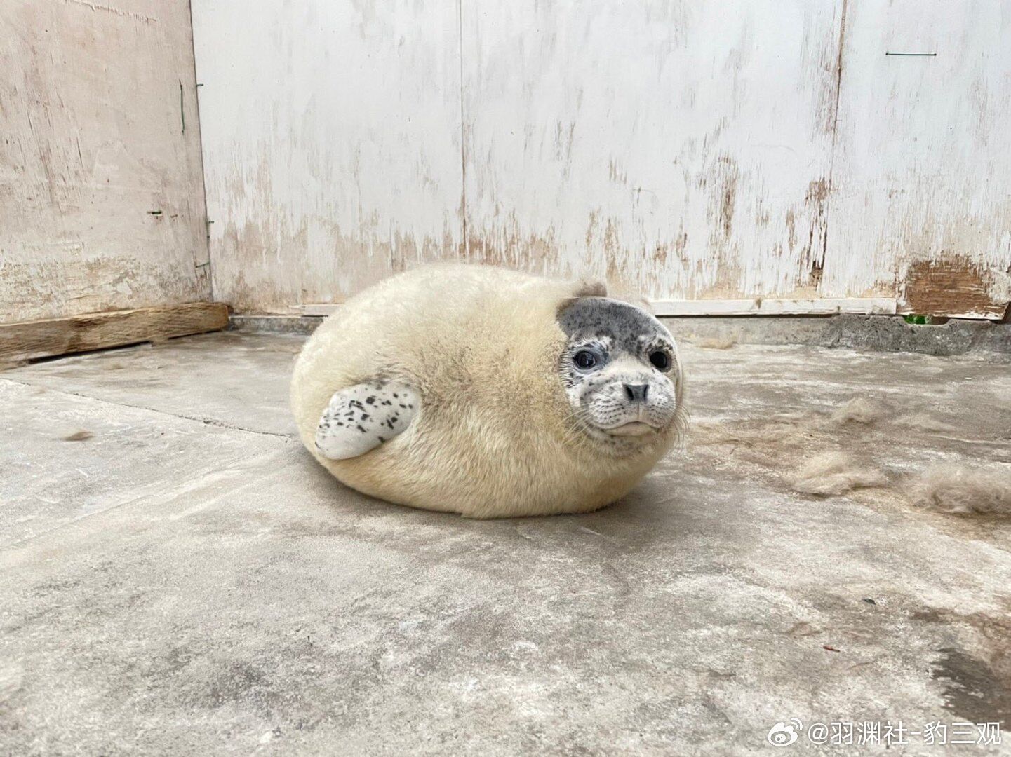 大家好，给大家看下今天的我  ​​​