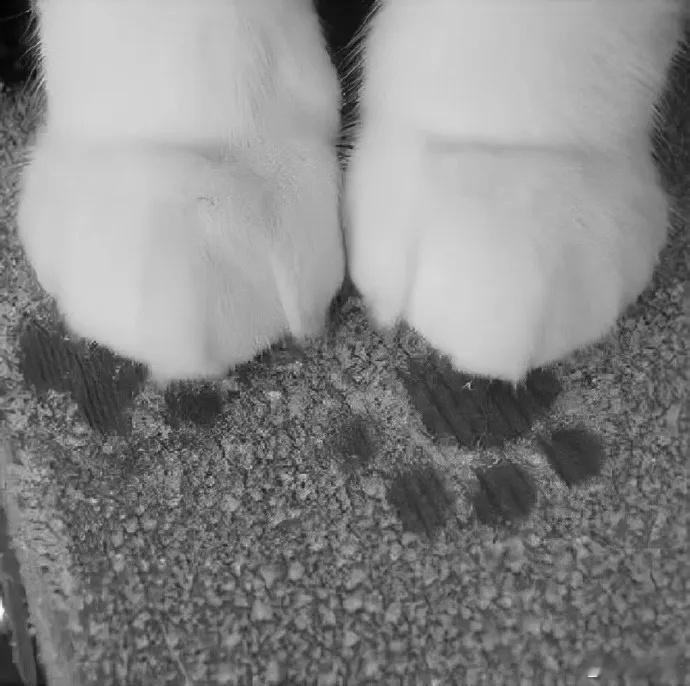 如果你跟你自己并没有什么深仇大恨的话，建议你远离那个令你难过的人，再远离那些令你