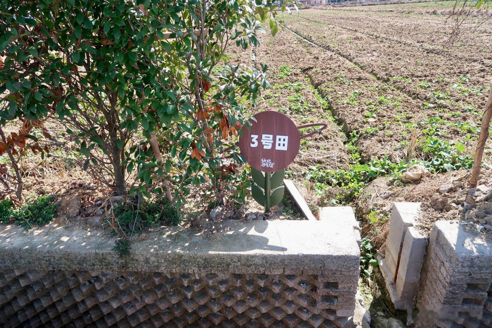 十个勤天 真的走到田边才发现这些地有多大那一年又冷又下雨是怎么坚持通沟的十个勤天