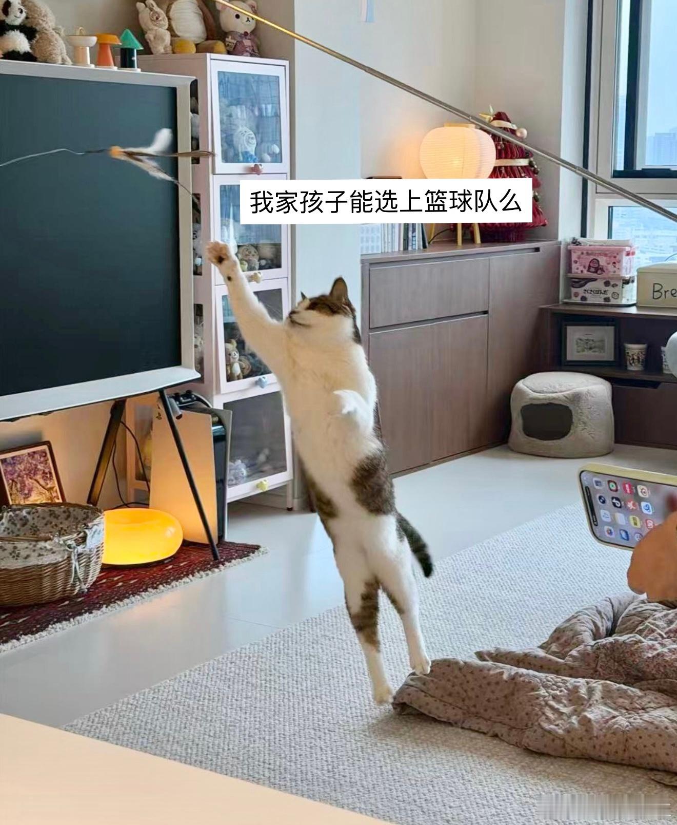 晚上好  又有一些乱七八糟想发🤲🏻 