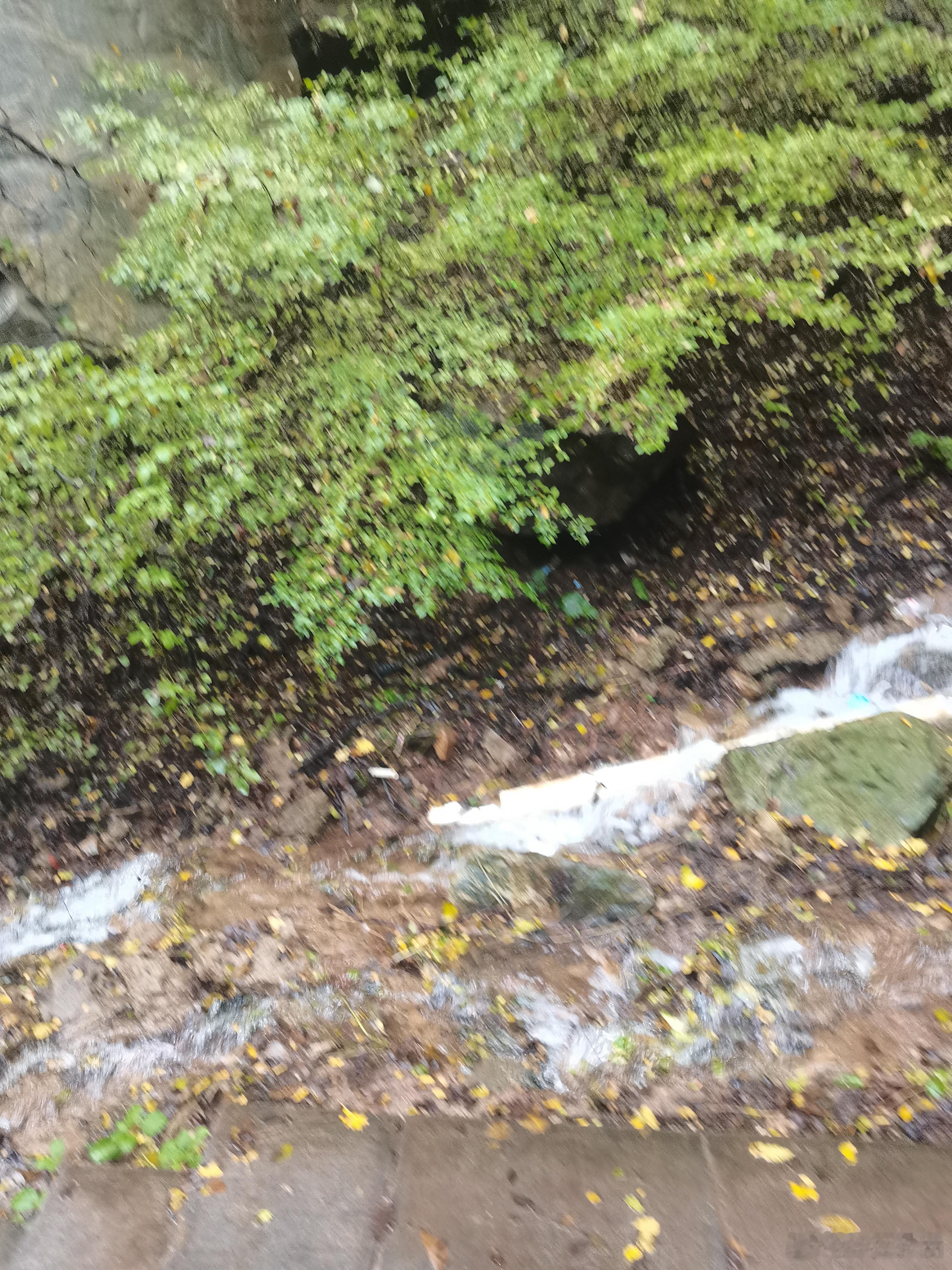 五一攻略 五一我准备带着孩子去延安爬山，体验一次动车，然后一起去看宝塔山和枣园，