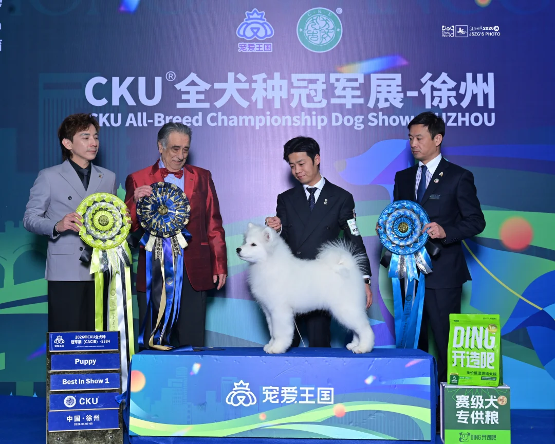 摩王家族｜满天星首战告捷！ 4个半月斩获3场BABY全场总冠军 四个半...