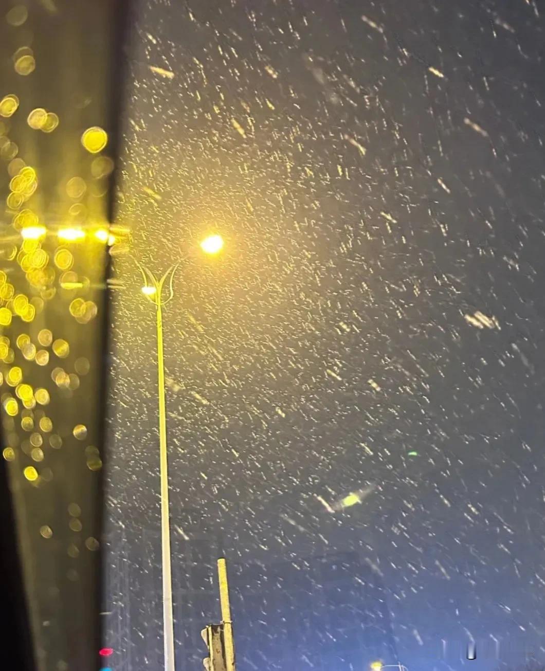 @青岛人，注意了！未来几天，寒潮强势来袭！大风+雨雪！

21日白天到夜间：多云