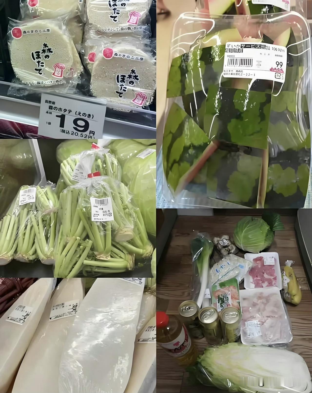 日本不愧是发达国家，这些商品中国超市根本买不到，只在厨余垃圾里有