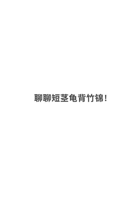 谈谈最近的短茎龟背竹锦