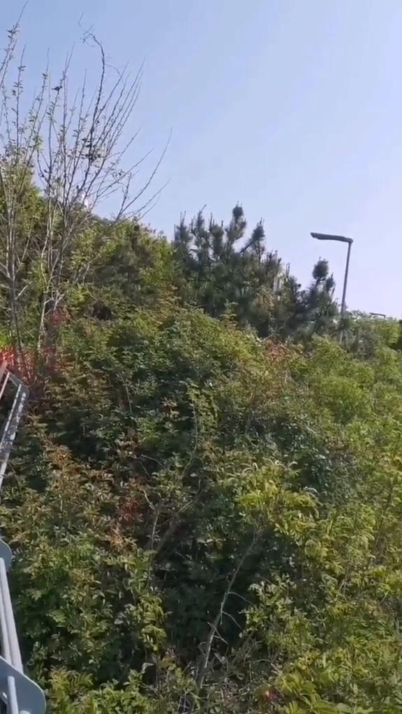 雨漫风卷我。
