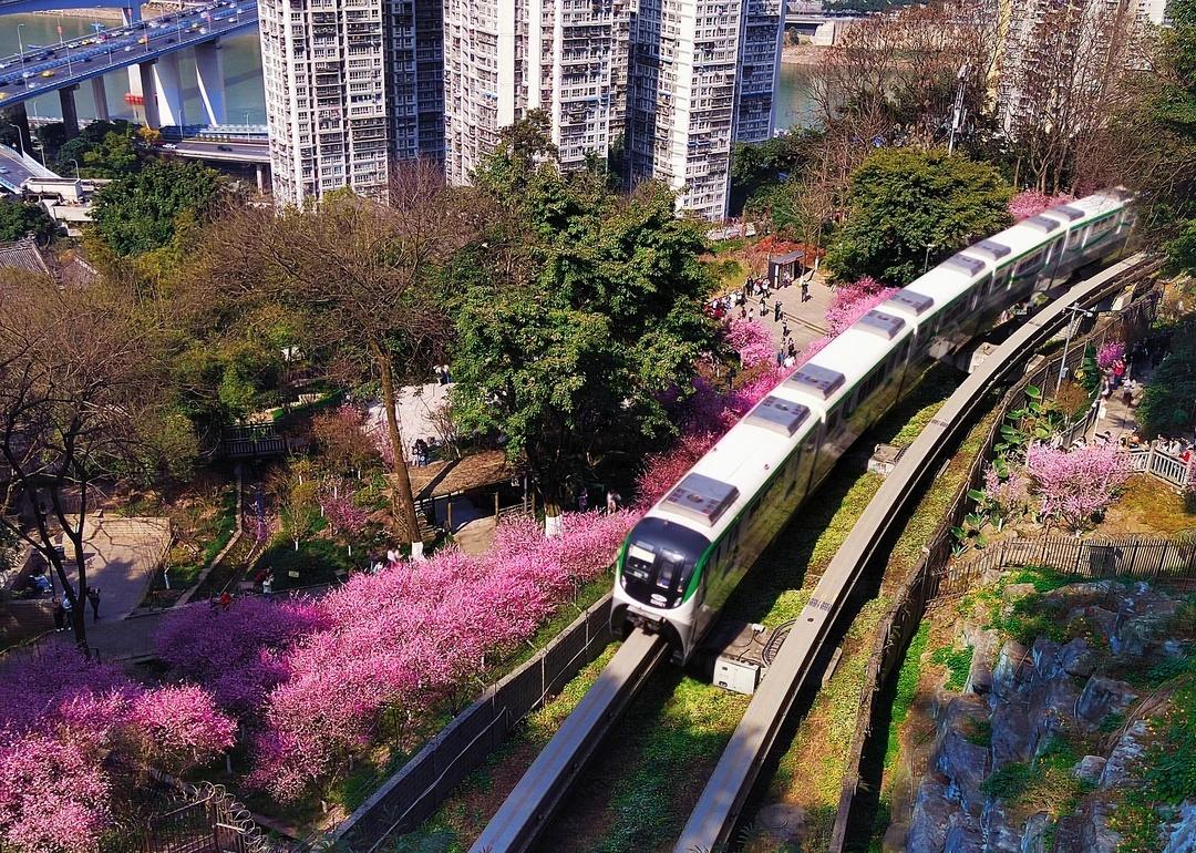 半山崖线——春天已跨山河而至，近在咫尺
真的，你不来坐坐么？那趟开往春天的列车，