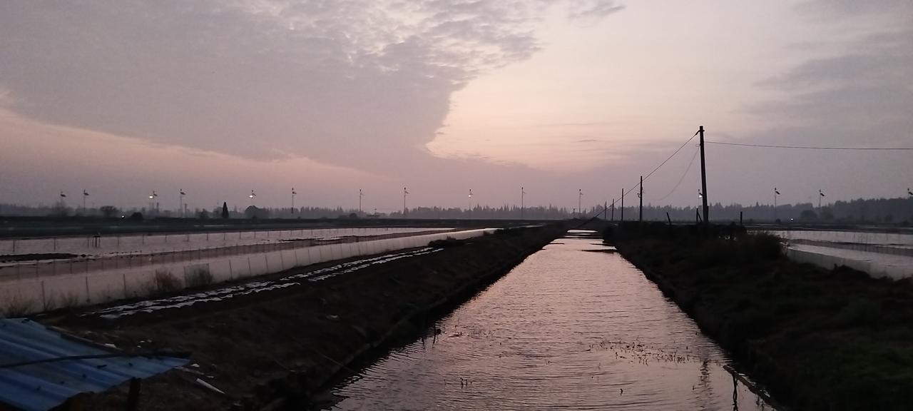 这是2026年4月7日清晨5点29分拍下的照片。彼时天空初亮，东方的云朵被地平线