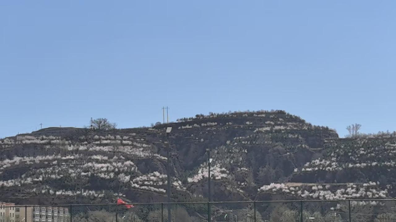 山头春色近，花影入帘来。