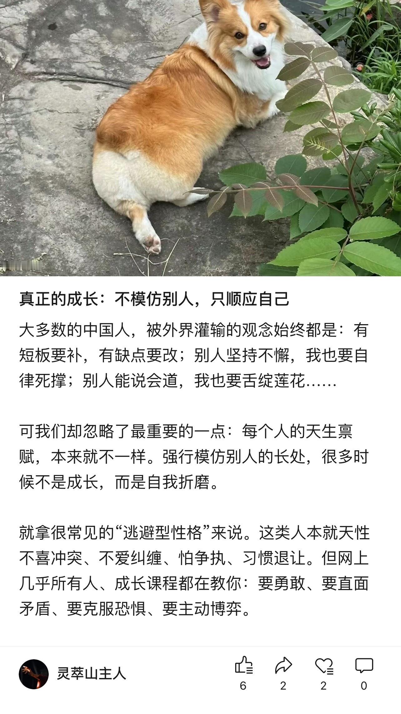 真正的成长：不模仿别人，只顺应自己李钟硕IU宣布分手大多数人被外界灌输的观念都是