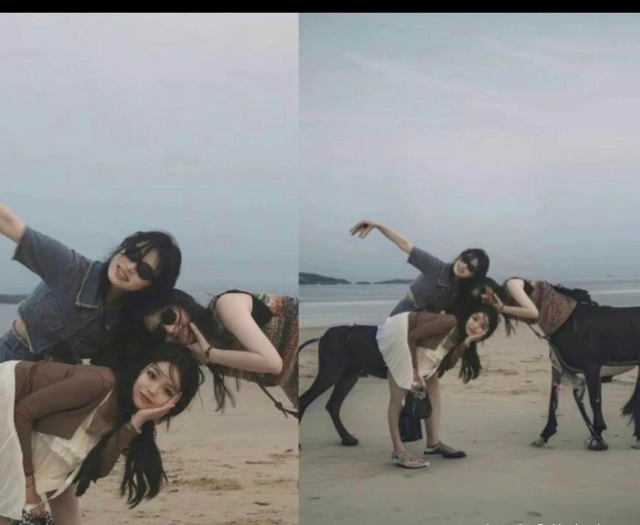 .猎豹千万别占狮子的便宜，真正傻的人，是把别人当傻子的人，谁也不傻，人人心里有杆