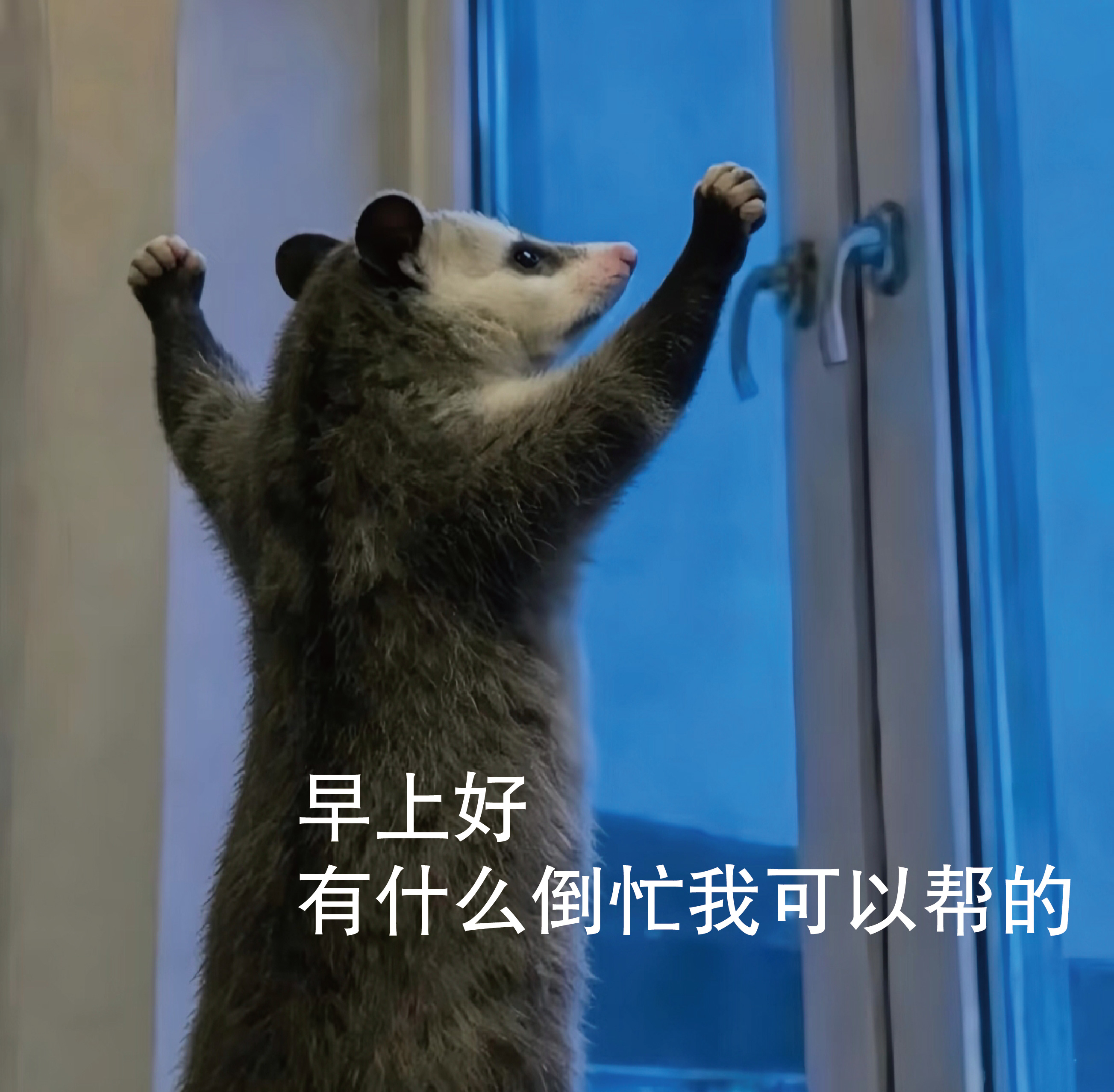 我这一生如绿豆冰🧊 
