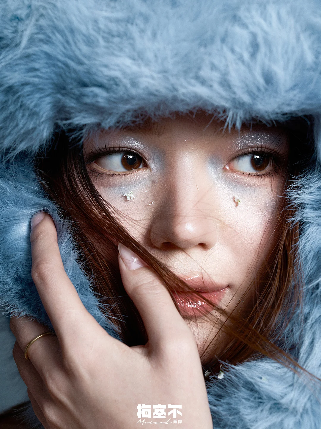 贵阳肖像|花有花香，冬有回忆一把