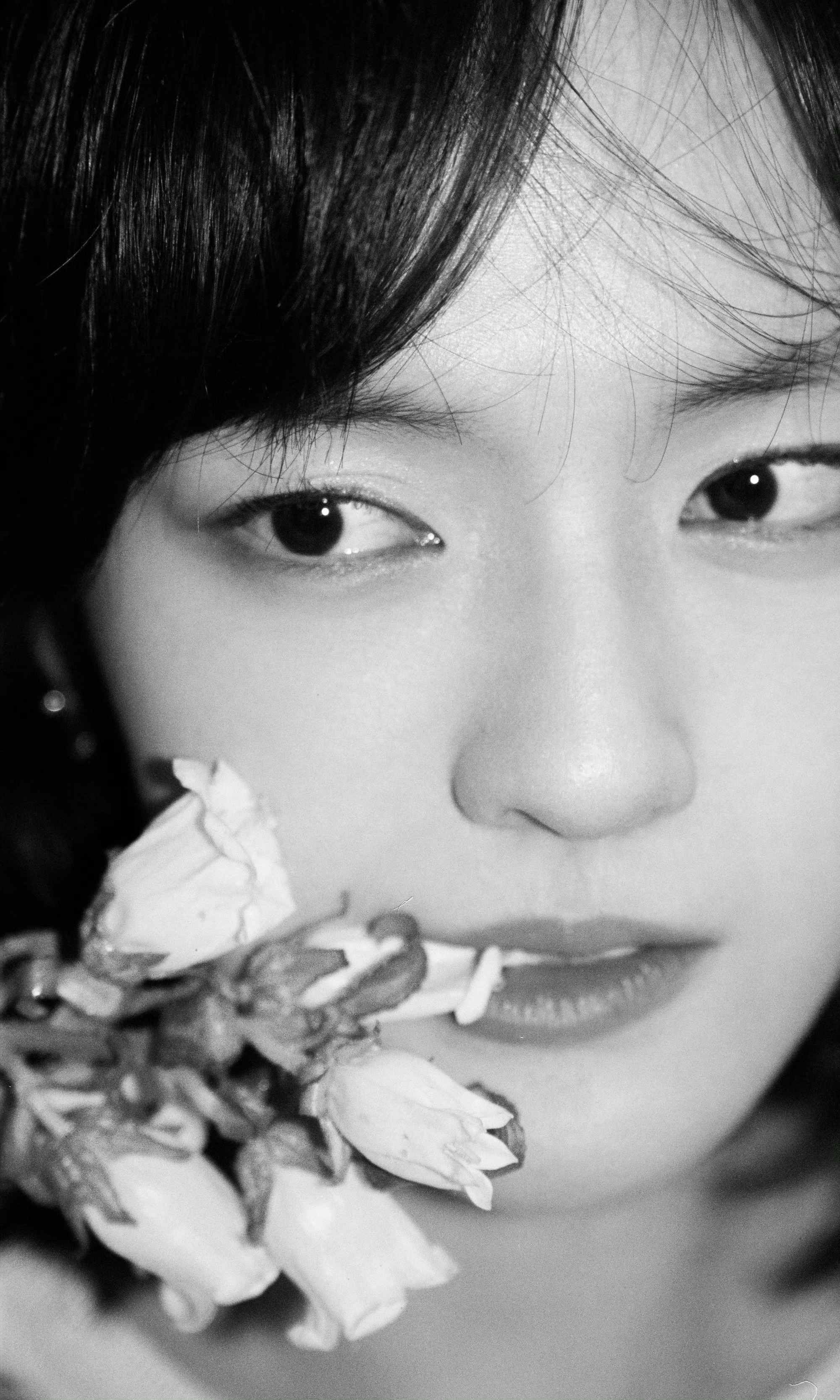 文淇晨露落入花瓣前，先落进她眼中。 