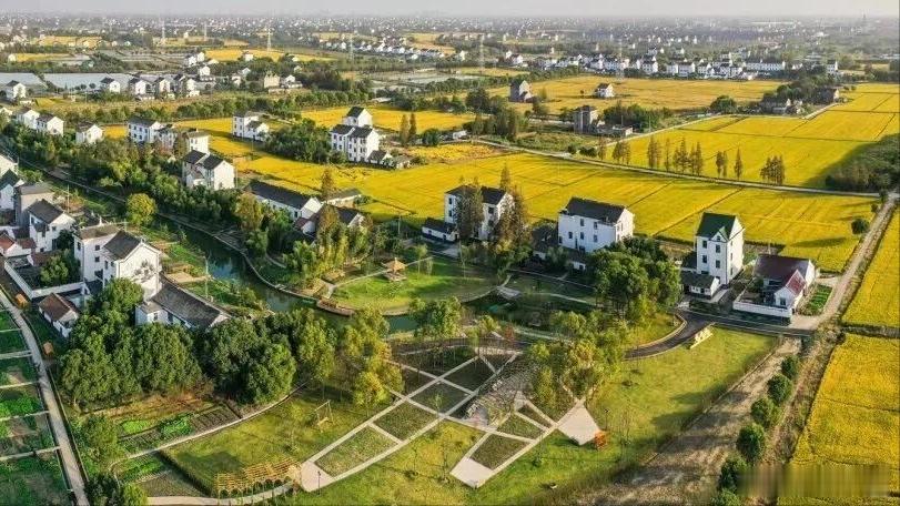 【五年规划“网络问计”收到311万条建议，孙玉良：这种方法很接地气】看到人民日报