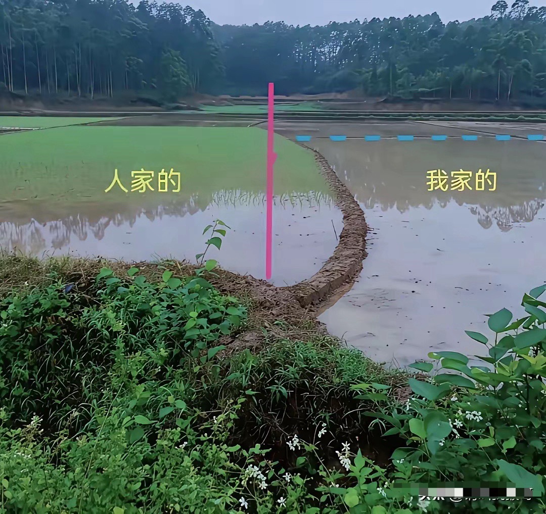 一年占一点，多年以后就变这样了 