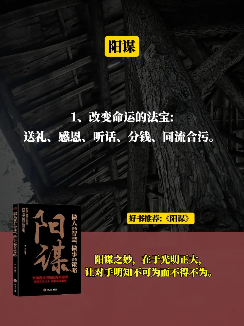 谋略智慧 心计谋略 阳谋 好书分享
