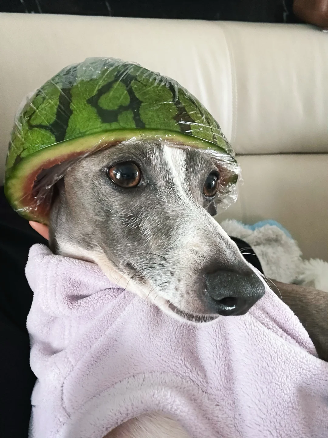 小兵鸡嘎