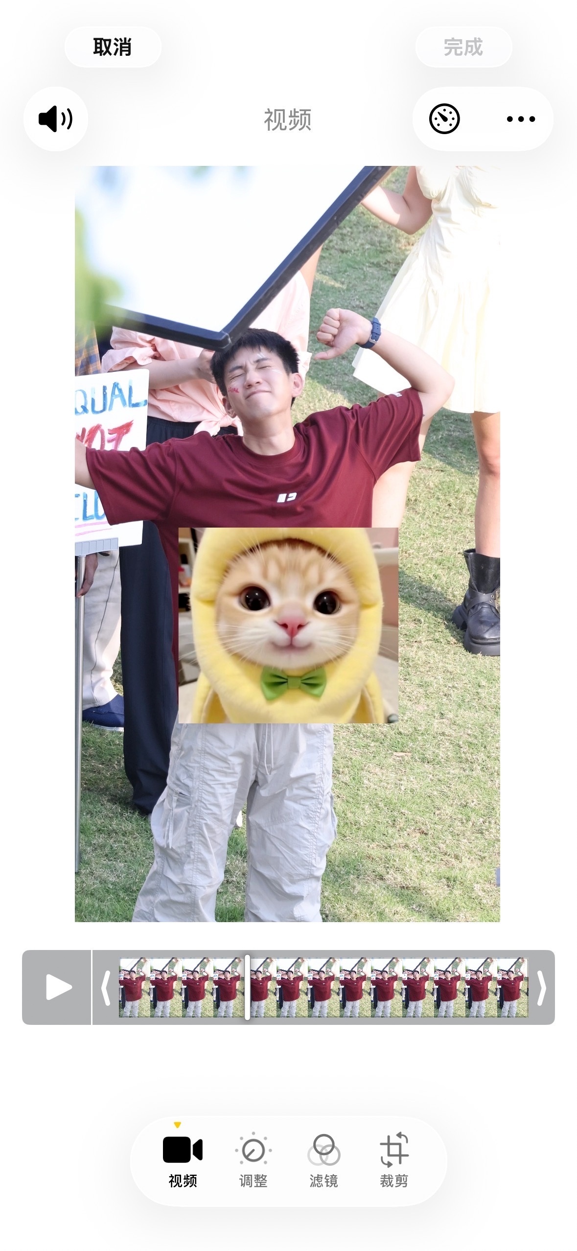 太好玩了预览图的猫猫仿佛是了了本体 