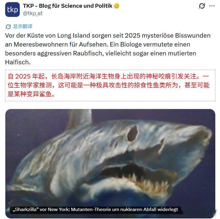 美国纽约蒙托克（Montauk）附近海域日前出现一头体长近12英呎（约3.65米