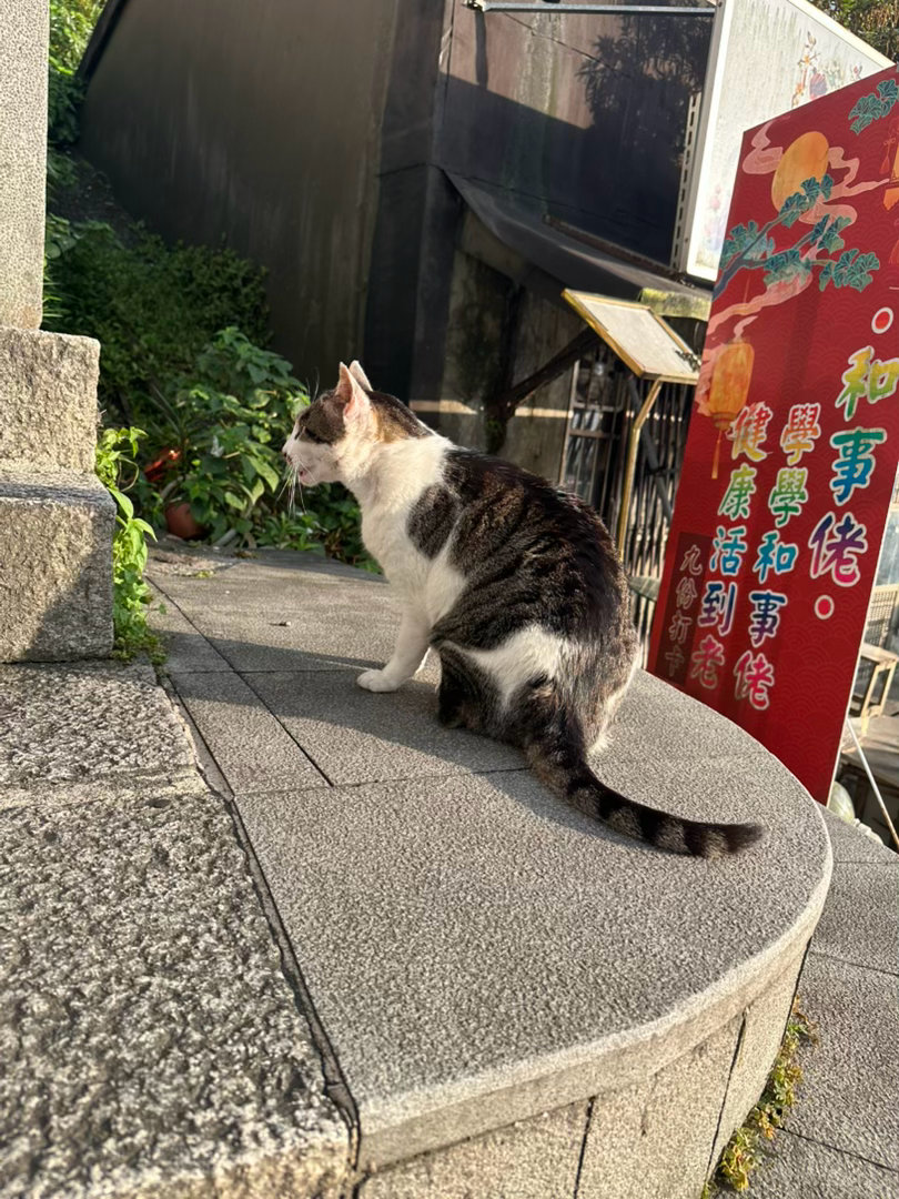 生活手记今天跟小夥伴出門玩，我解锁了好多事，如開車越出舒適圈，但可能把大家的神經