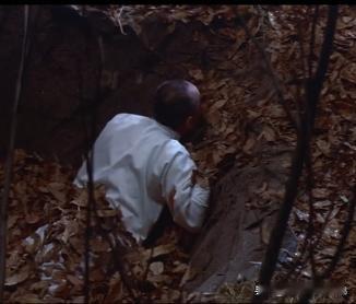 哎呀，这不是那位喜欢嫖娼，穿着睡衣登山，在河南玩水的常董事长吗？

万万没想到，