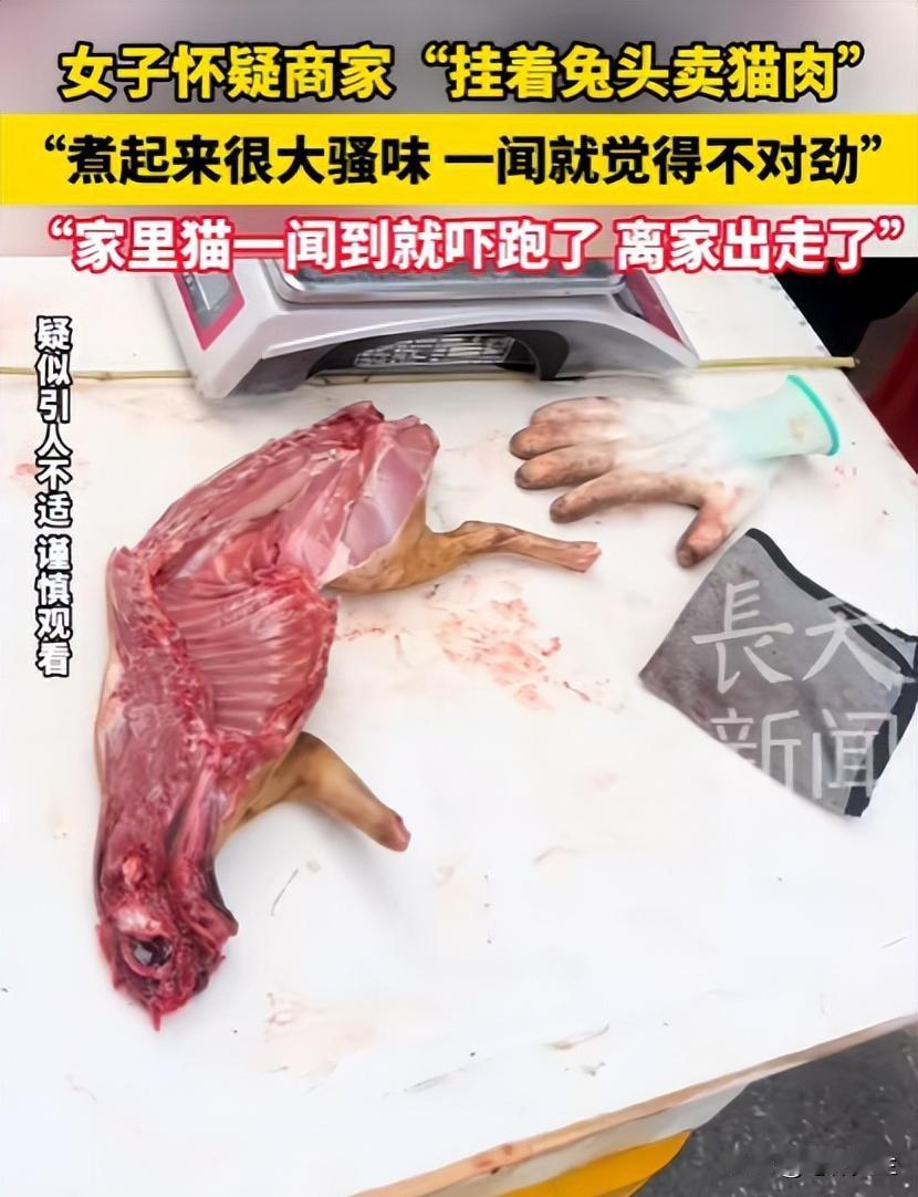 [胡瓜]广东，女子买兔肉，做好后吃着味道不对，家里的猫更是吓得四处逃窜、浑身发抖