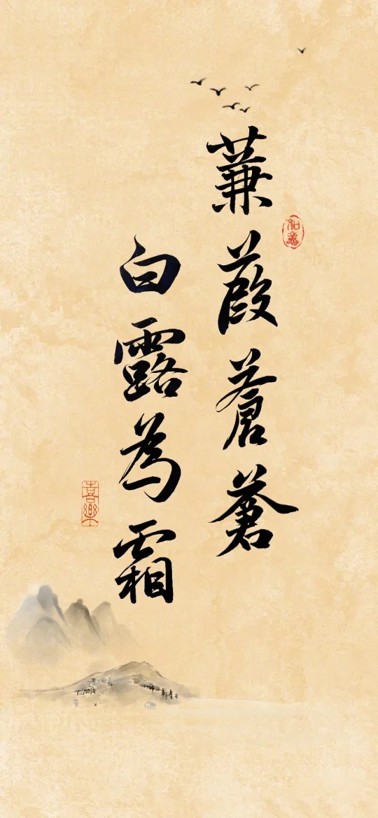 白露·蒹葭苍苍，白露为霜