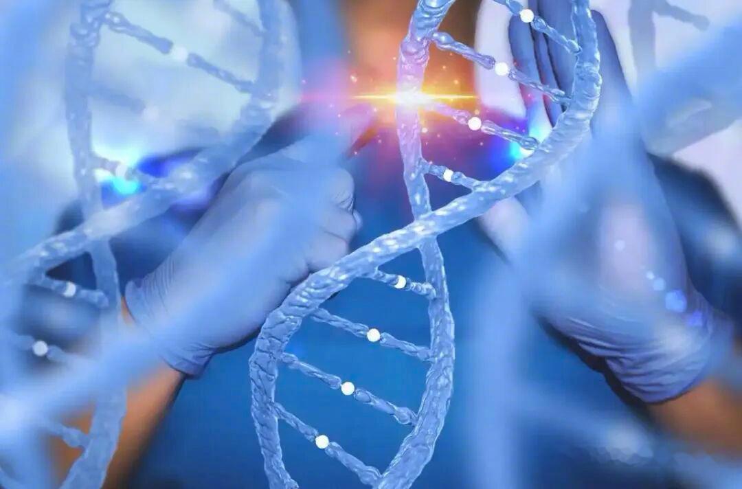 专家呼吁完善基因编辑监管规则热点解读 基因编辑引发社会关注，不只是因为技术突破，