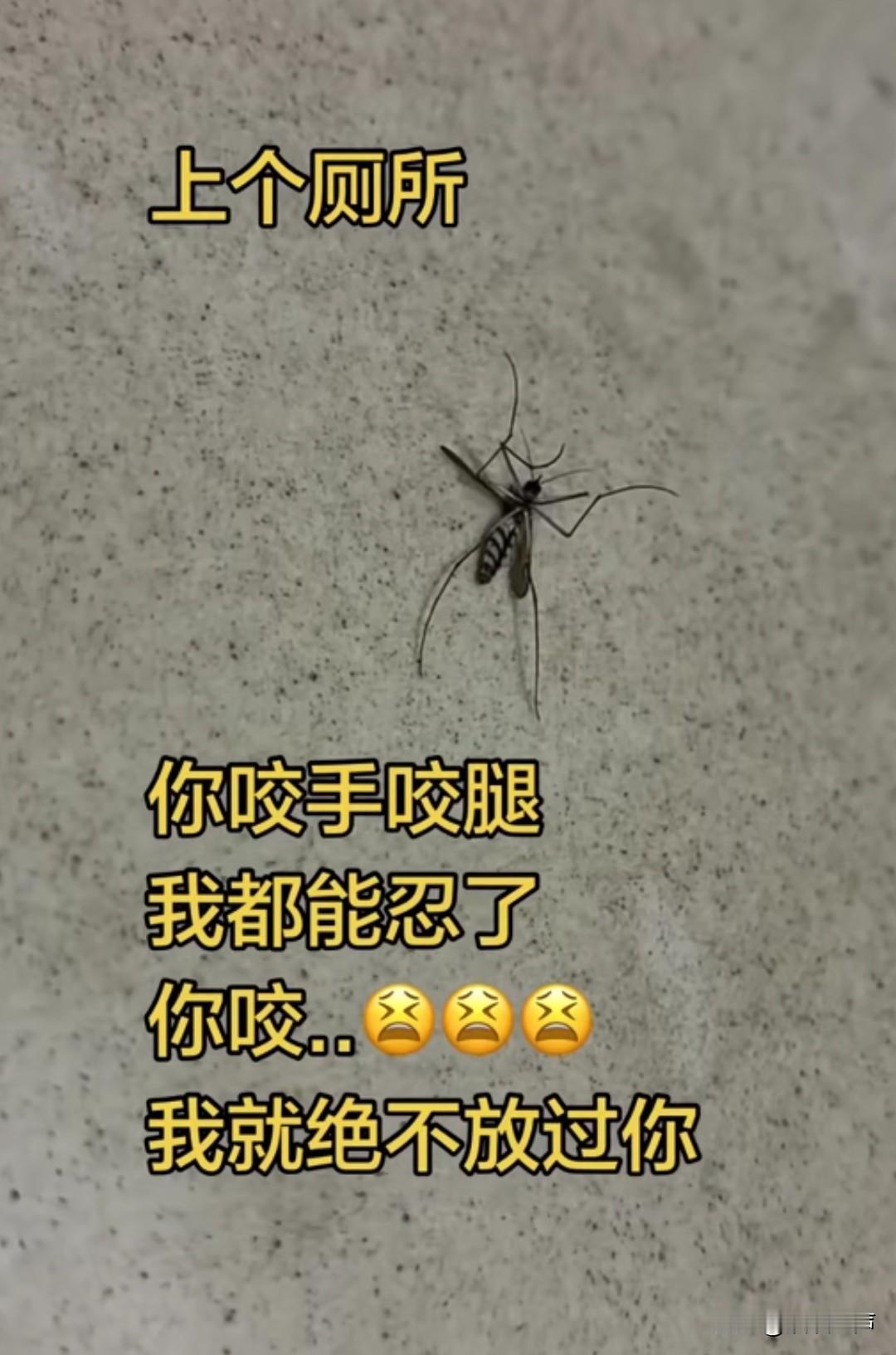 吃早餐你能不能文明一点呢
大清早的
上个厕所
你咬手咬脚
我都忍了
你还咬…[流