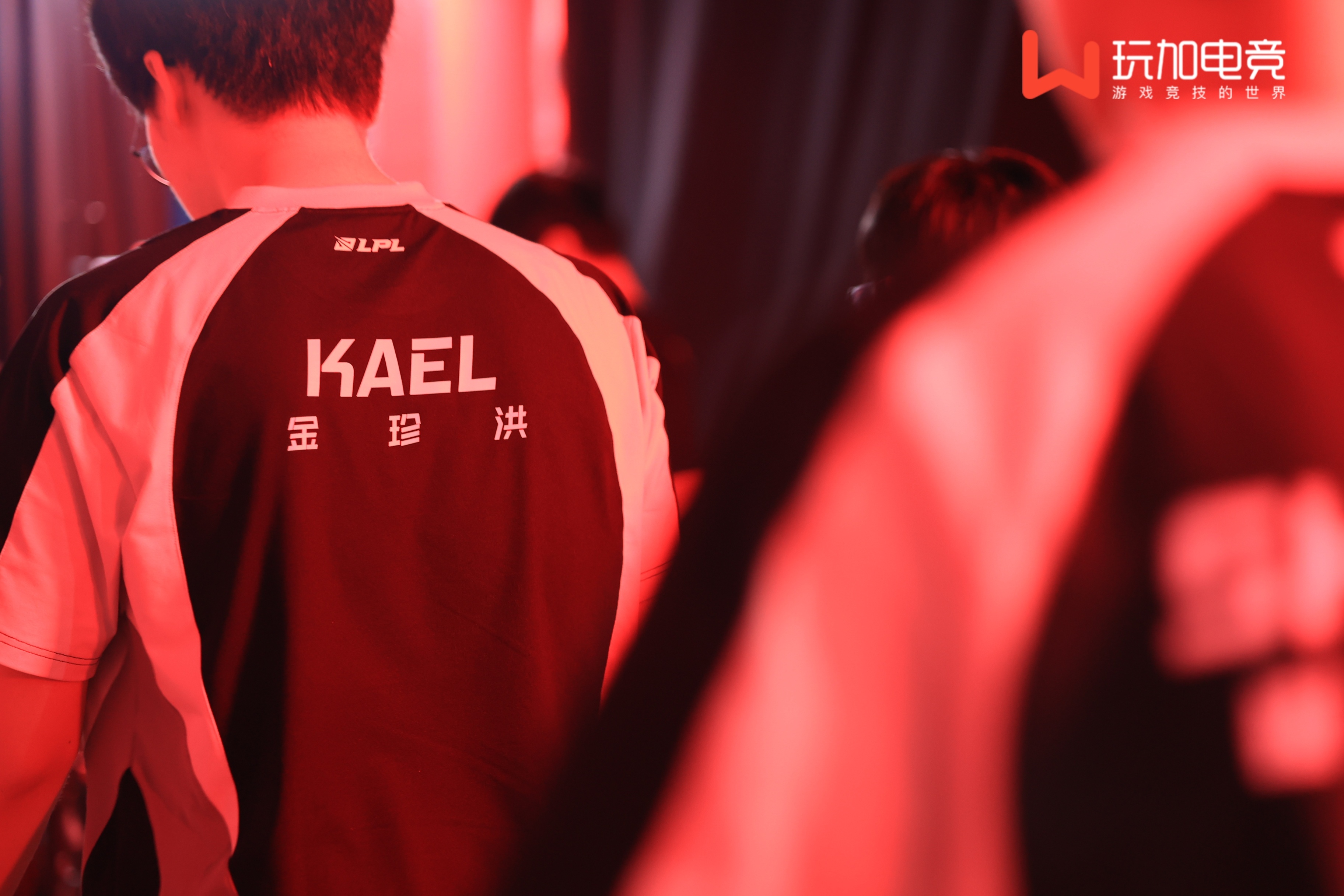 K  A  E  L金 珍 洪al对战cfo2025msimsi温哥华最前线 ​