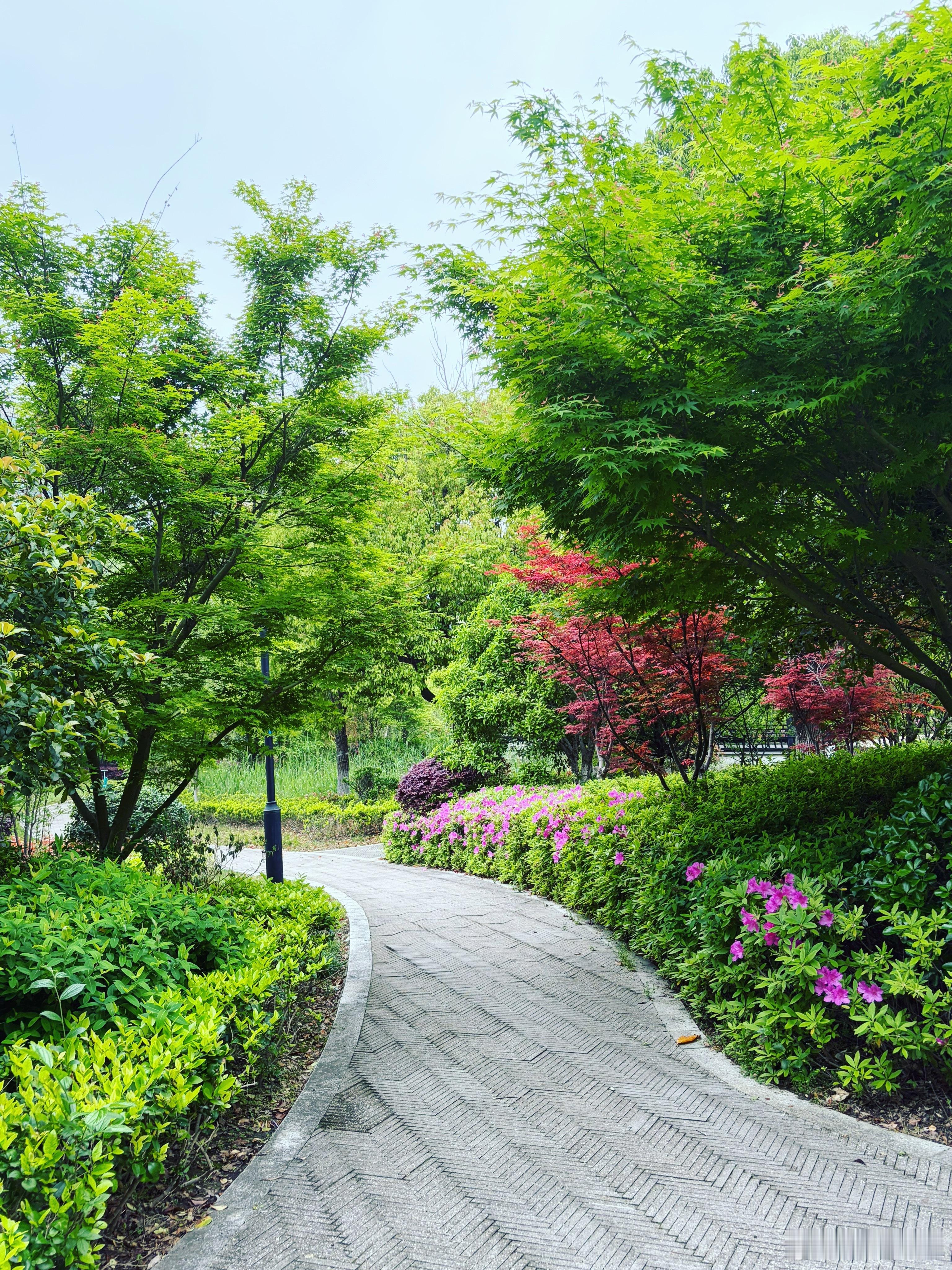 你好春天微博young派对 捕捉一组杭州春日治愈瞬间草坪、花径、满眼绿意，随便走