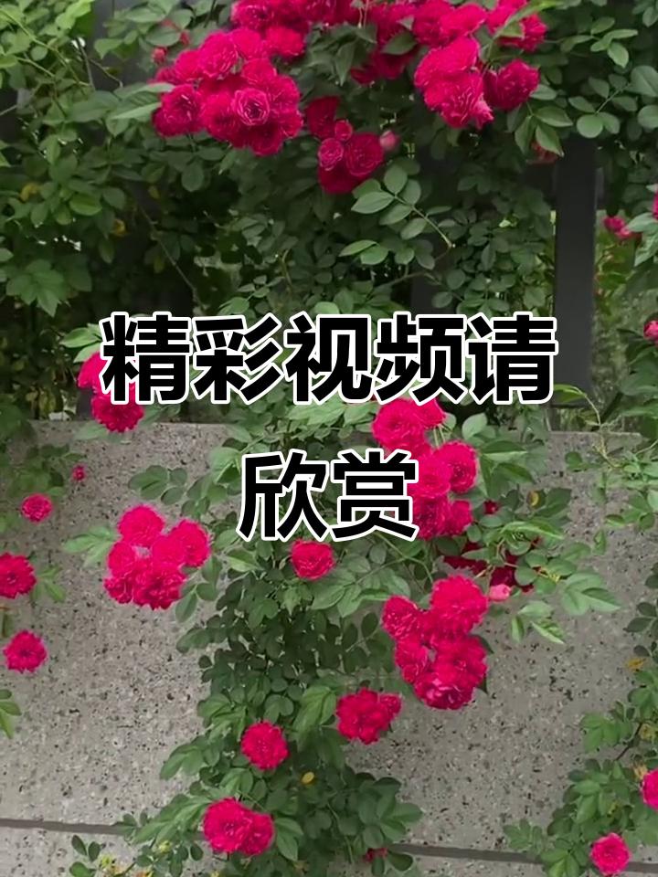 生活其实不用那么复杂，就如理念里说的，精简生活能带来更多幸福感。扔掉杂物，断掉无