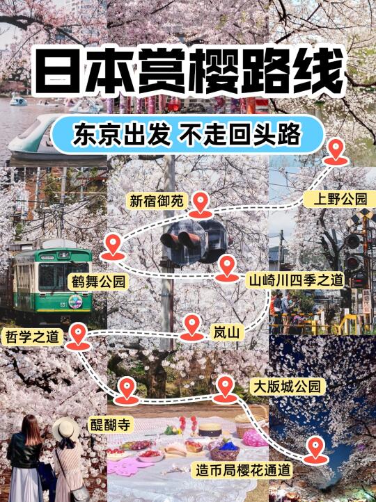 日本赏樱大全🌸跟着这条线路走！懒人必看