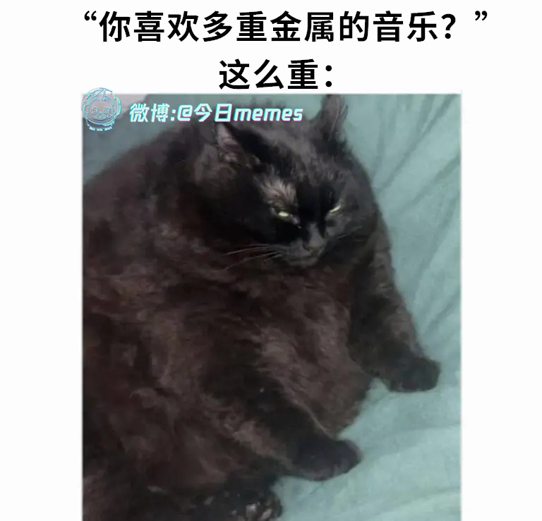 丫够臊子面的（9gag）今日meme 今日memes