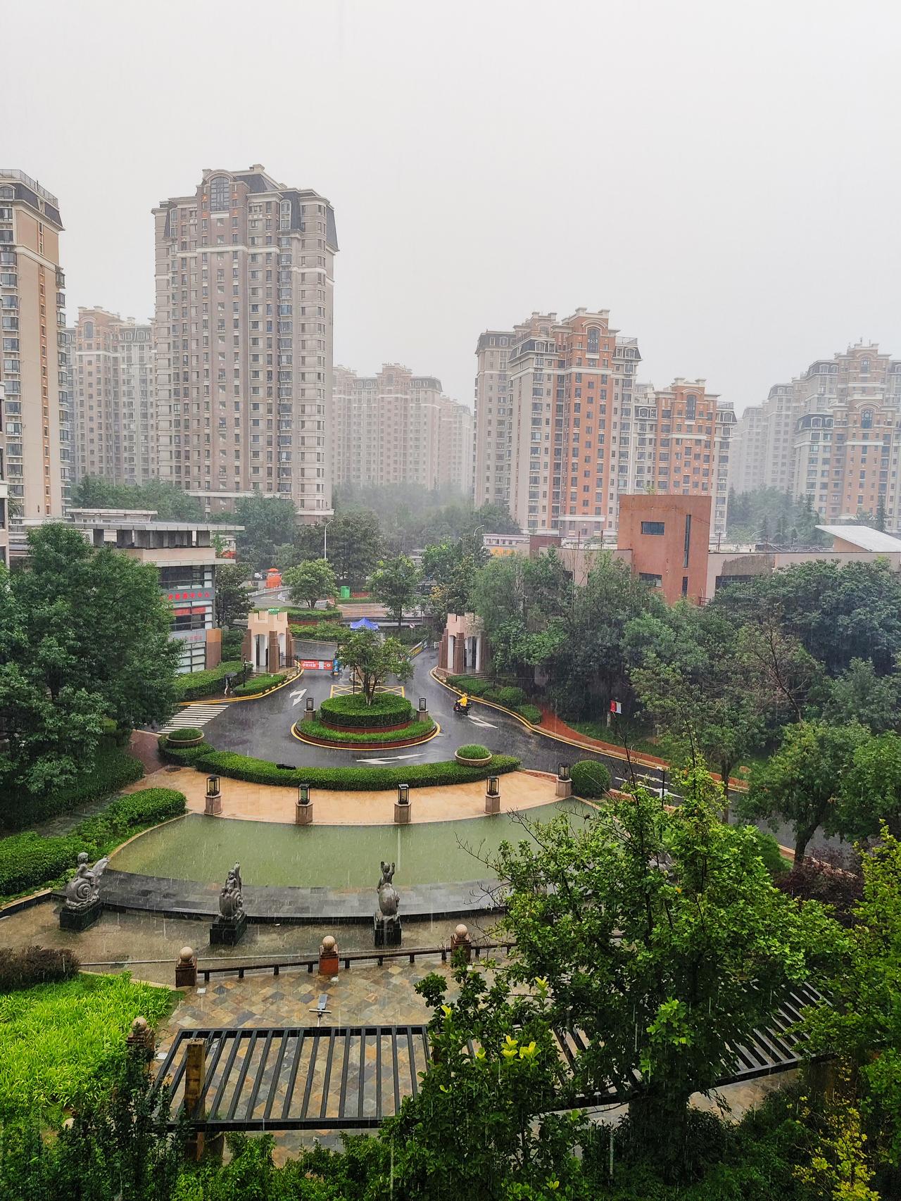 济南终于下了一场像样的雨，因为隔着窗子就能听到哗哗的雨声！不一会儿，窗外水池的水