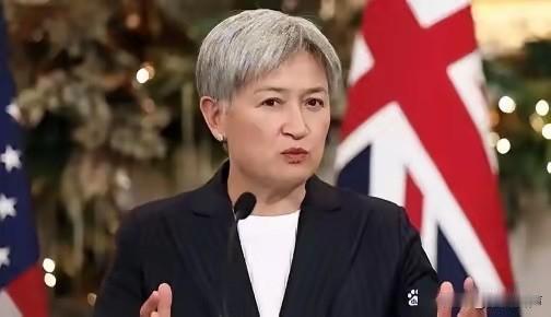 澳大利亚外长黄英贤发表严正声明，
7月6日，针对中国海军战略核潜舰已于中午，成功