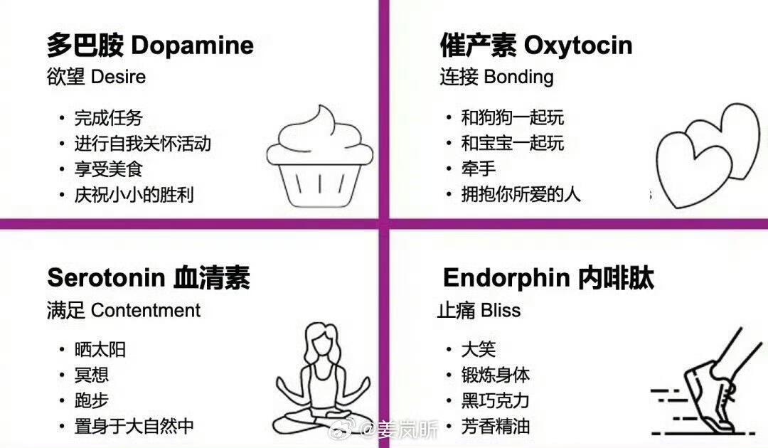 人类心理过程的主要心理介质：多巴胺，催产素，血清素，内啡肽。 这张图总结的很棒