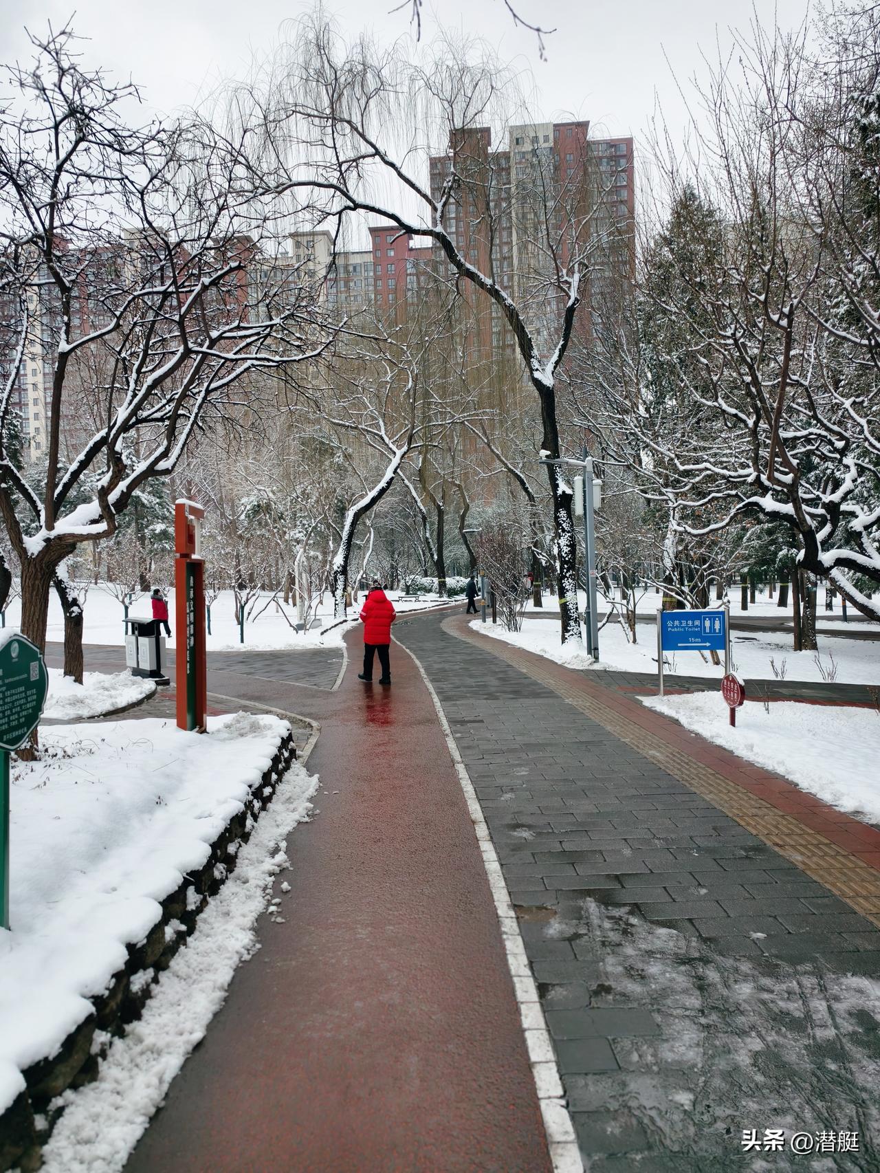 分享一张雪景图“八月十五阴着月，正月十五雪打灯”所以十五、十六这场雪下的很大，对